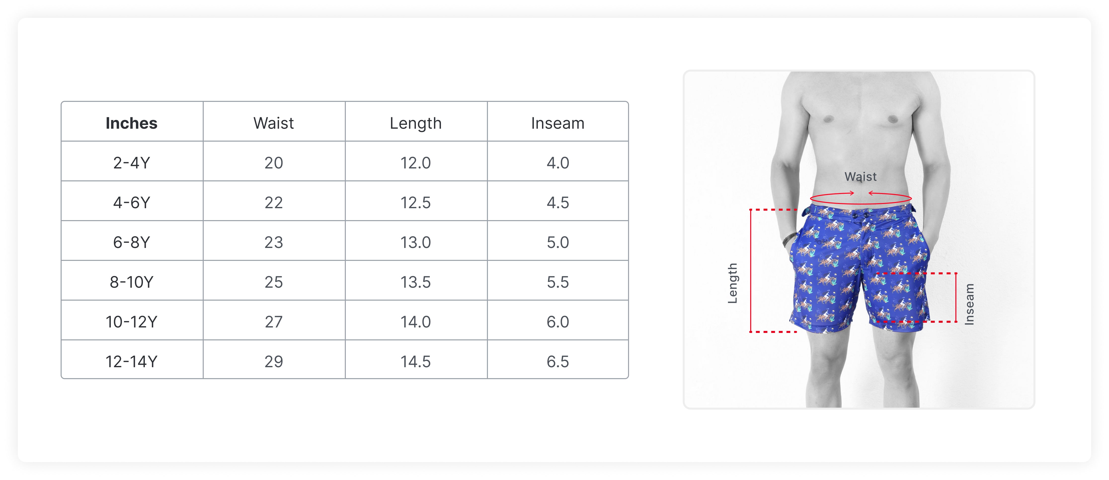Size Guide in Inches