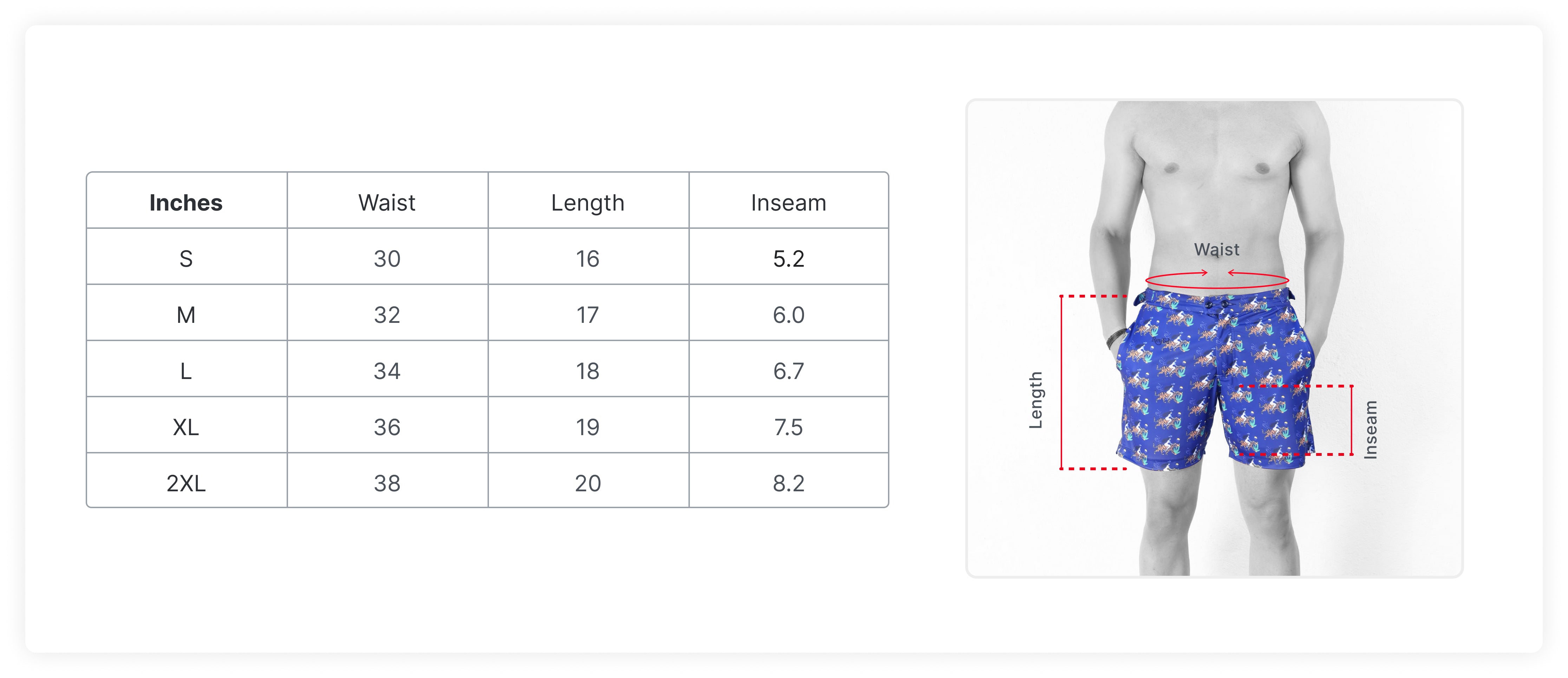 Size Guide in Inches