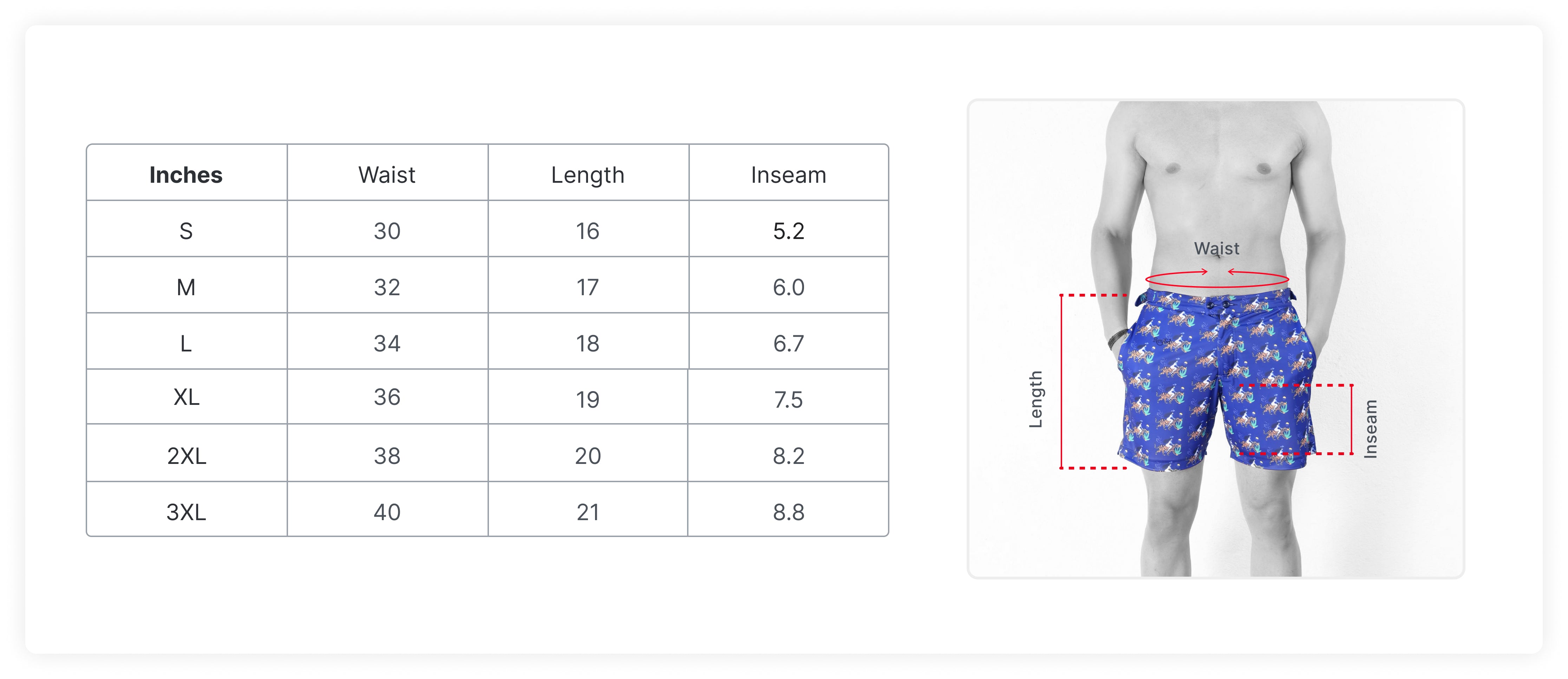 Size Guide in Inches
